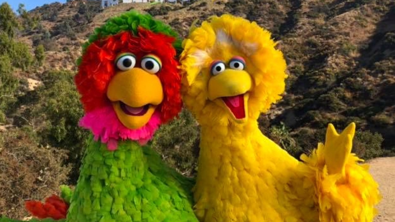 Big Bird Sesame Street Fans Only Just Discover The Characters