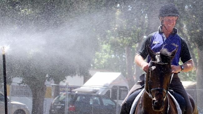 Aussie Olympian Heath Ryan and his horse Mystery Whisper.