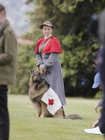 The annual remembrance day ceremony is held at the Cenotaph, Hobart. Abigail Davis is pictured with her German Shepherd - Douglas. Picture: MATT THOMPSON.