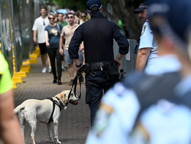 There was a strong police presence at the festival in Sydney. Picture: NCA NewsWire / Jeremy Piper