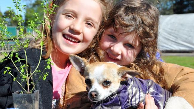 Imogen and Juliet with Taco the chihuahua.