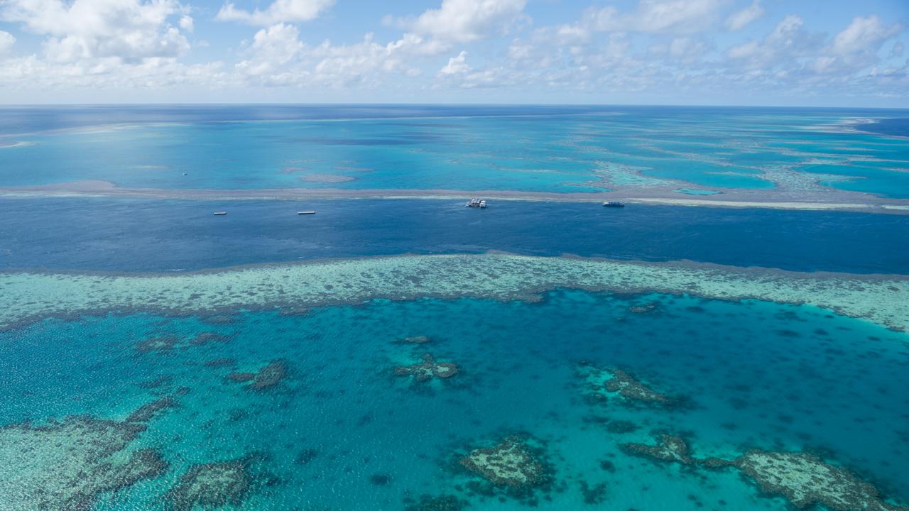 The Great Barrier Reef could vanish.