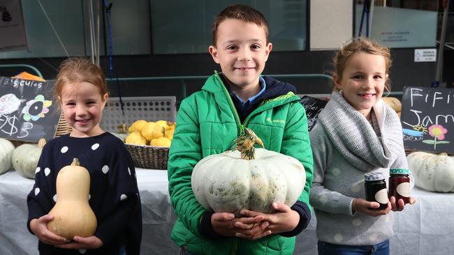 Tole siblings from Cressy L-R Georgie 6, Charlie 9, Phoebe 7. The siblings have grown pumpkins and berries to make jam at their parents farm and have just started a have a stall at the Farm Gate Market in Hobart.