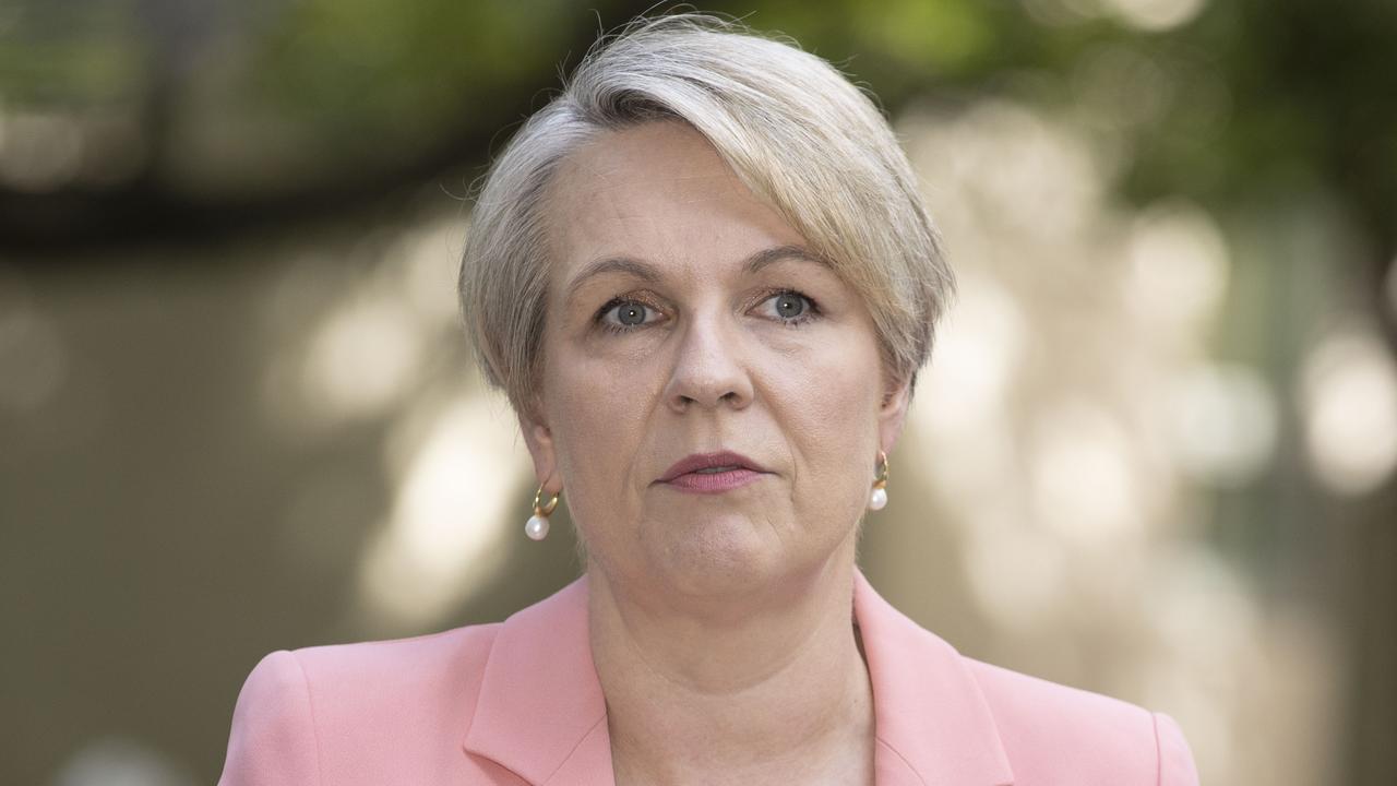 Tanya Plibersek Coy On Leadership Claim After Book Bombshell | News.com ...