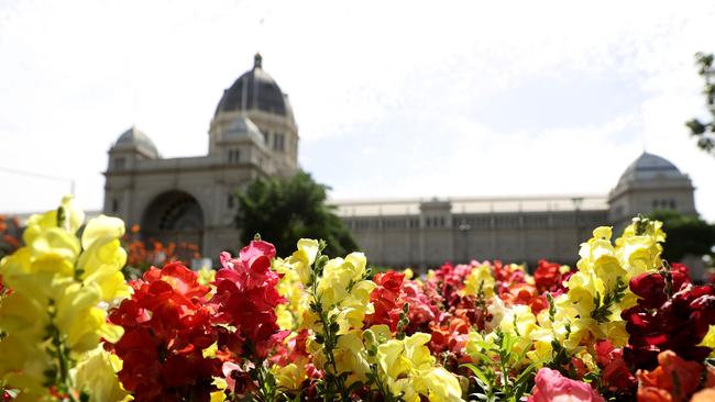 The event is normally held at the Royal Exhibition Building in Carlton. Picture: Robert Cianflone/Getty Images.