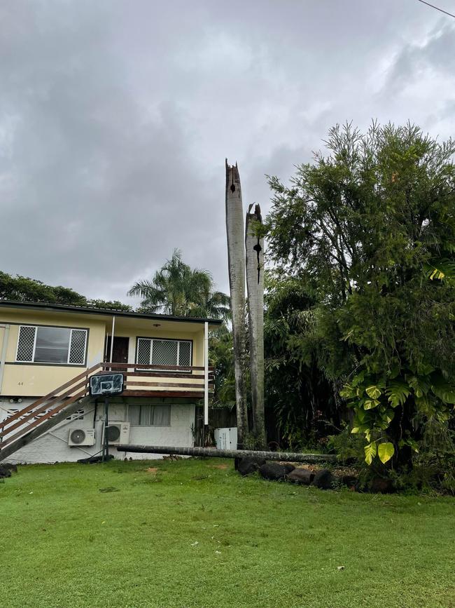 Tropical Cyclone Kirrily 2024: Trees brought down on Renecol Avenue in Rasmussen.