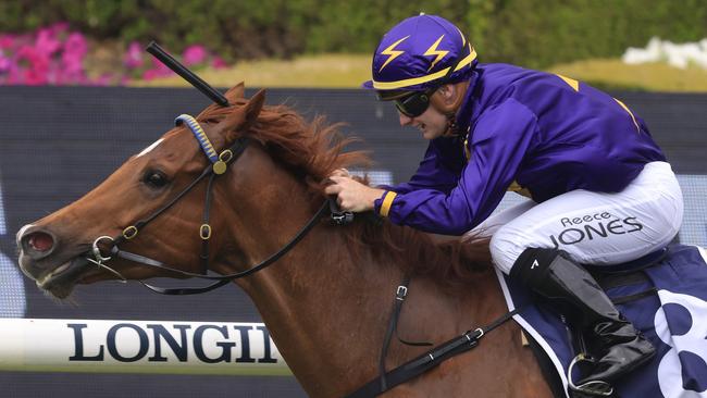 Mr Mosaic can maintain his affinity with the Rosehill track and land another win. Picture: Getty Images