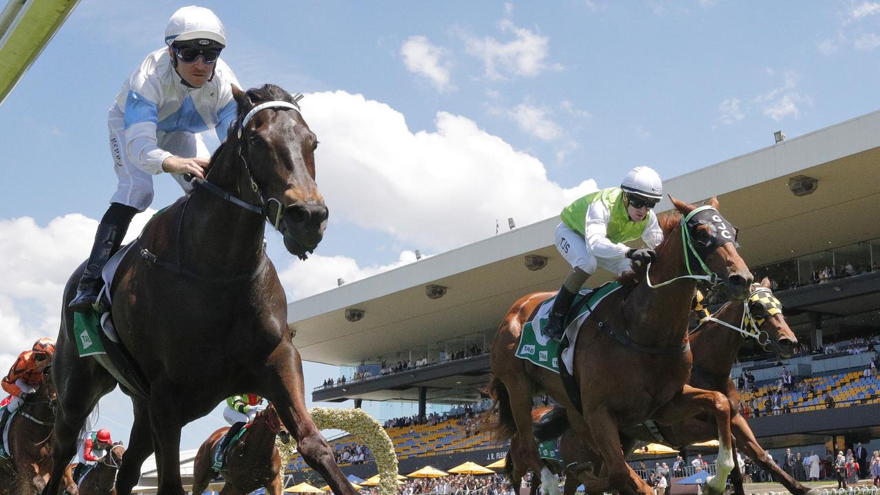 Sizzling Cat (lime green and white) can turn the tables on So Say You (white and light blue) in the TAB Highway. Picture: Getty Images