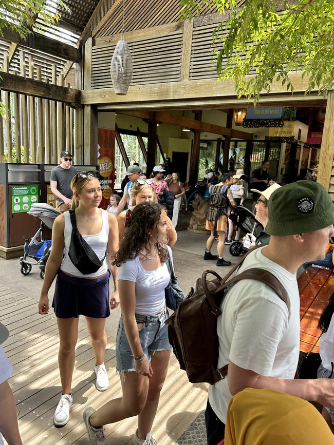 Crowds leave an orangutan enclosure. Picture: Supplied.