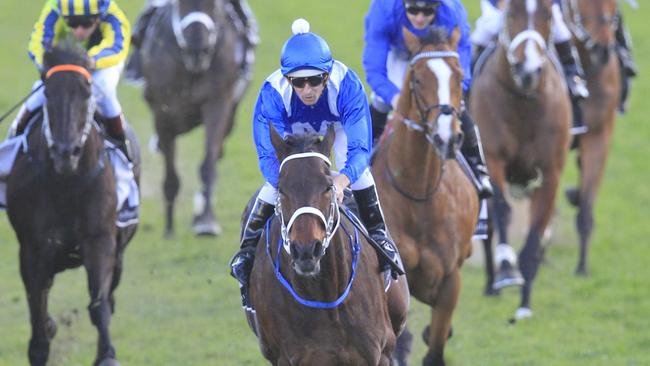 Winx will be the star attraction at Randwick on Saturday. Picture: Jenny Evans