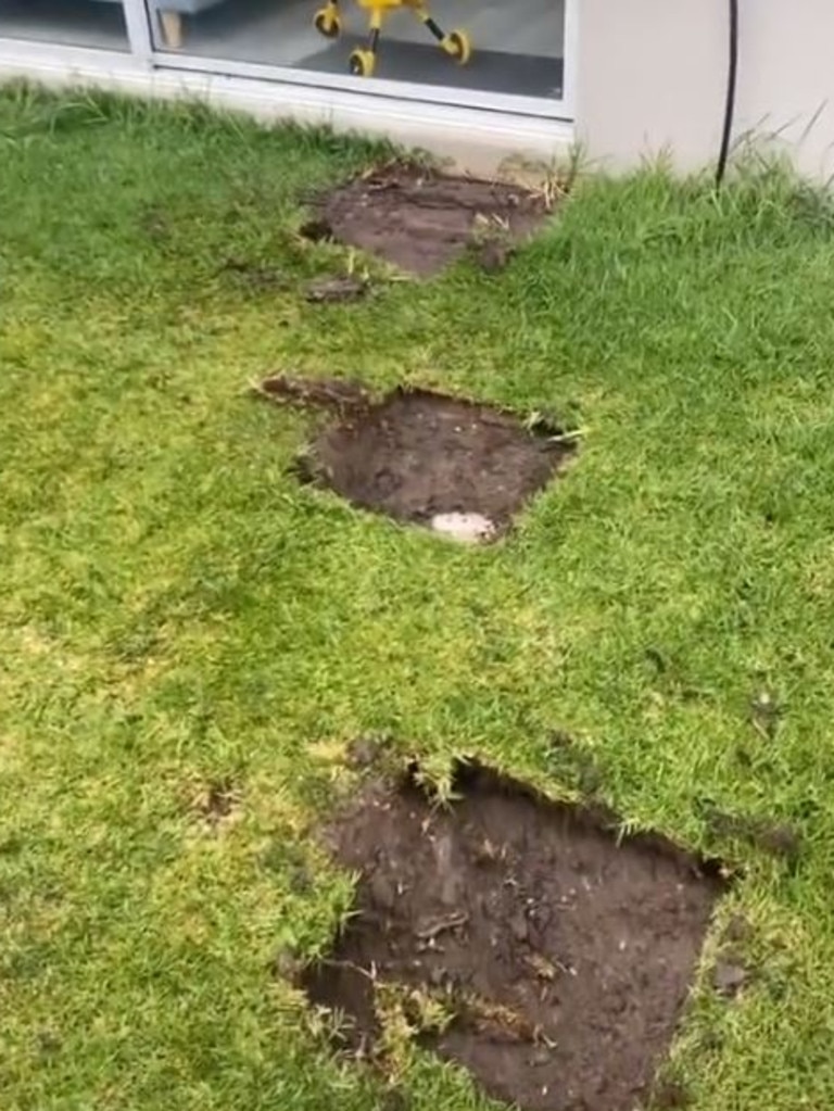 Aussie tradie viral on TikTok after ripping up the backyard of the ...