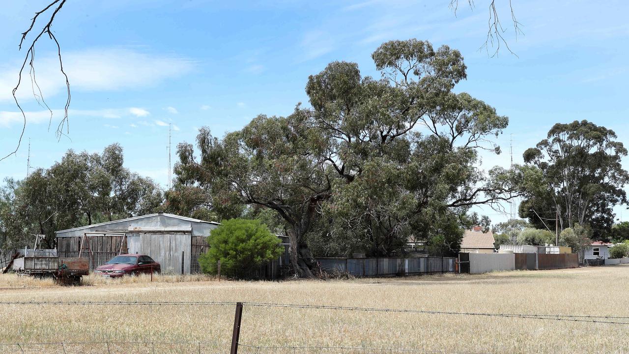 Police said the owner of a paddock next to the tree where Charlene was found (pictured) was in hospital – but he had been dead for weeks. Picture: Sarah Reed