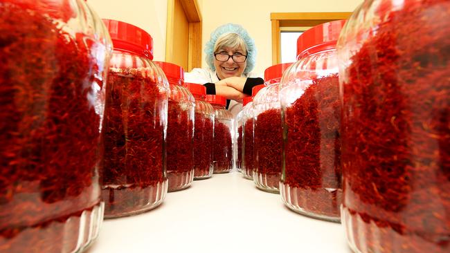 Nicky Noonan of Tas-Saff at Glaziers Bay with about $60,000 worth of Saffron