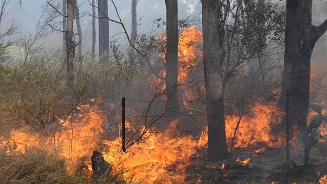 Hornsby Ku-ring-gai Rfs Warns Residents To Get Prepared As Bushfire 