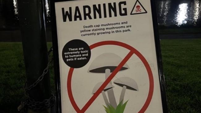 Melbourne City Council have put up warning signs about death cap mushrooms growing near the Yarra River.