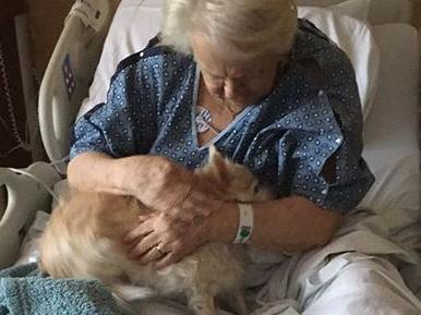 Girl sneaks grandmother's dog into hospital