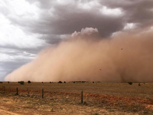 Rain soon followed once the dust storm passed. Picture: Richard Andrews