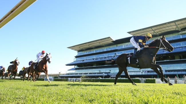 Mount Popa scored an impressive win at Royal Randwick. Picture: AAP