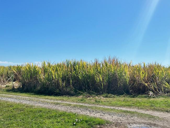 Many of the farms affected by the fires were near neighbouring properties. Picture: Sunshine Sugar.