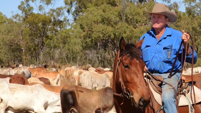 Professional drover Bill Little says the political fight over access to Queensland's stock routes is making it harder and harder for stockmen to move cattle around the state. Picture: Trudy Brown