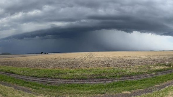Looking south from Condamine Plains towards Millmerran. Picture: Jarrod Renati