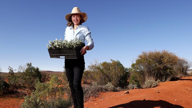 Anika Molesworth on her property Rupee Station just outside of Broken Hill. Picture: Toby Zerna