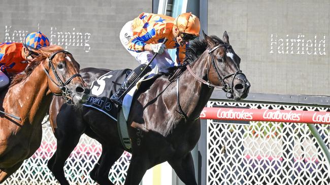 Imperatriz has dominated the Melbourne sprints. Picture: Reg Ryan/Racing Photos via Getty Images