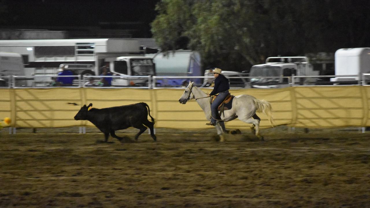 Friday night campdraft