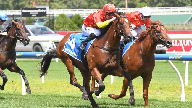 High Octane matches motors with stablemate Holmes A Court in the Blue Diamond Preview (C&amp;G) at Caulfield. Picture: Brett Holburt–Racing Photos via Getty Images)