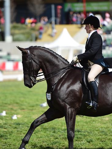 Penny Ahern riding Montilla. Picture: Zoe Phillips