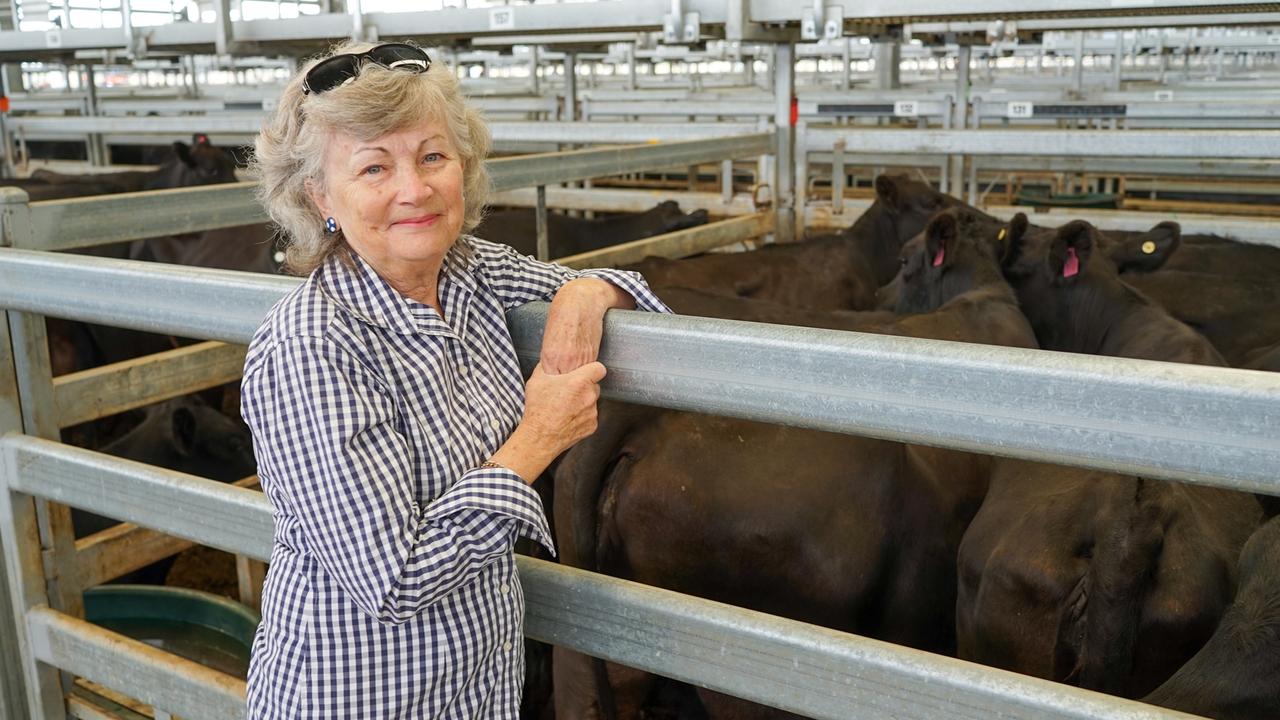 Cow and calf influx at Ballarat feature sale