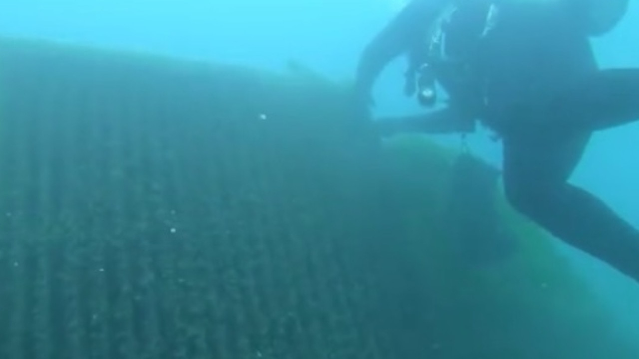 They also scuba-dived into Lake Huron to try and find the water source. Picture: Jam Press