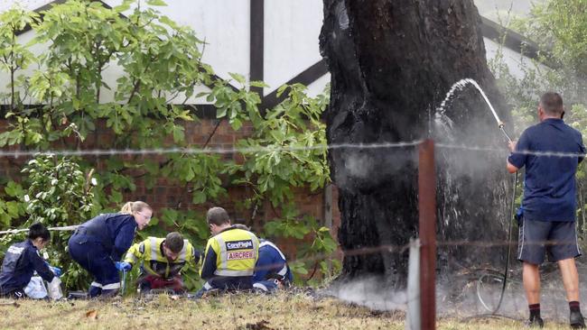 Neighbour Ben Modde douses the flames on the tree as paramedics work on Christine Lawrence. Picture: AAP/Careflight