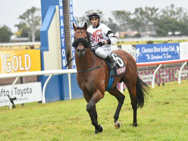 Jockey Jeff Penza brings home Signore Fox, from the Peter and Paul Snowden stables, after the four-year-old snatched victory in the 2020 GDSC Ramornie Handicap.