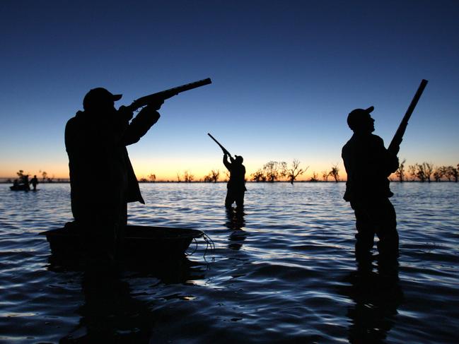 Duck hunters will face more restrictions including a bag limit of six ducks.