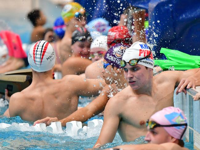 The NSW metropolitan swimmng championships produced some show stopping pertormances. Pics: Supplied/Chloe Osborn