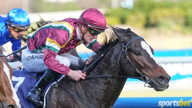 Gentleman Roy wins the Lawrence Stakes under the urgings of jockey Mark Zahra. Picture: Scott Barbour/Racing Photos via Getty Images