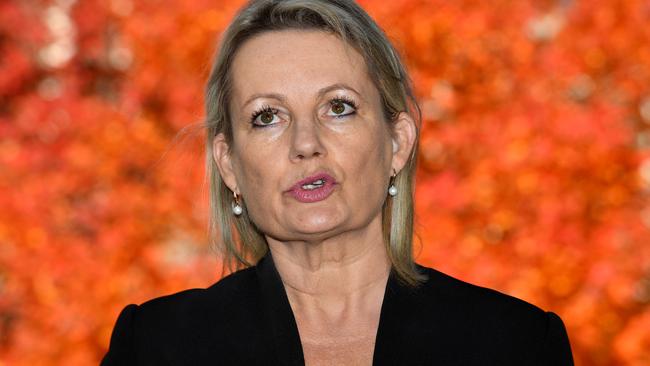 Liberal frontbencher Sussan Ley wants a phase-out of live sheep exports. Picture: AAP