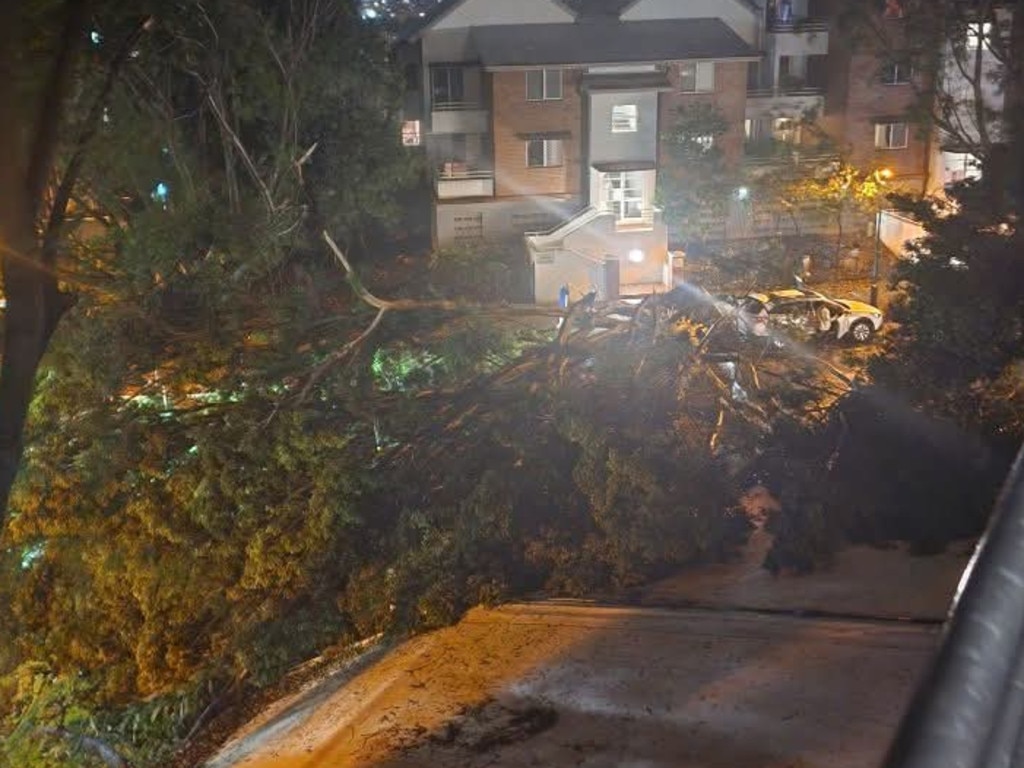 Cyclone Alfred left a trail of destruction across Brisbane.