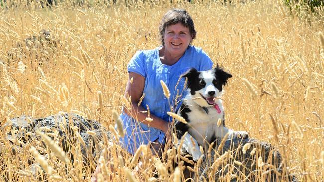 Teachers pet: Julie Aldous with Clare, her Border Collie.