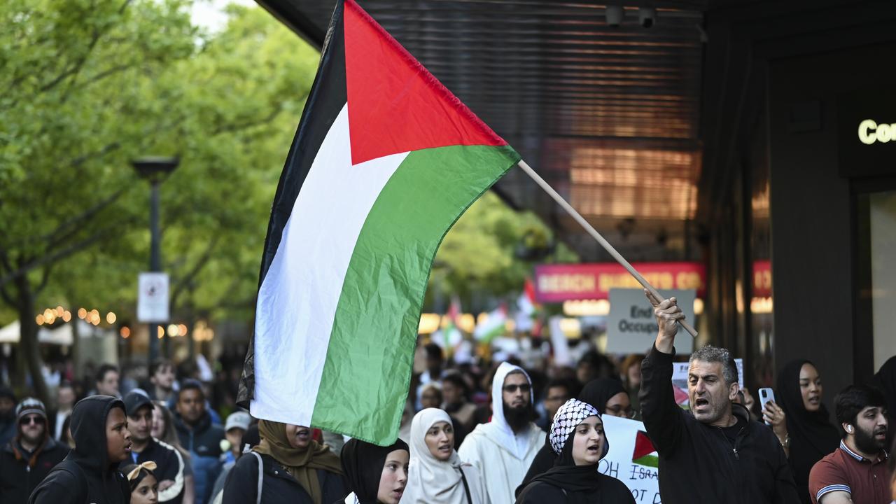 Pro-Palestine rallies held in Canberra, Brisbane and Perth: MP Monique ...