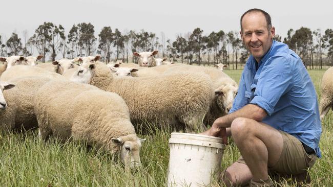 Fight continues against $9m sheep dairy