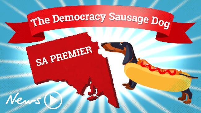 The Democracy Sausage Dog picks the SA Premier