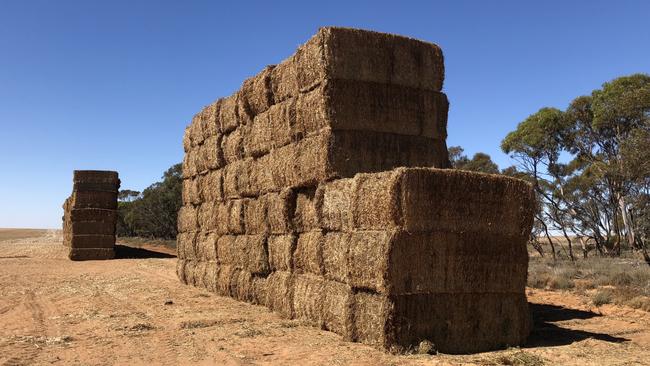 Price match: Continued showers may have an impact on the quality of already contracted new crop vetch hay.