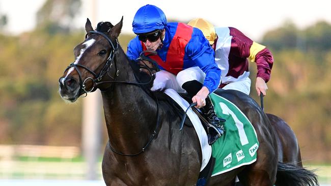 James McDonald will partner Zaaki in the Group 1 Northerly Stakes in Perth on Saturday before he flies back to Hong Kong for Sunday’s International Races. Picture: Trackside Photography.