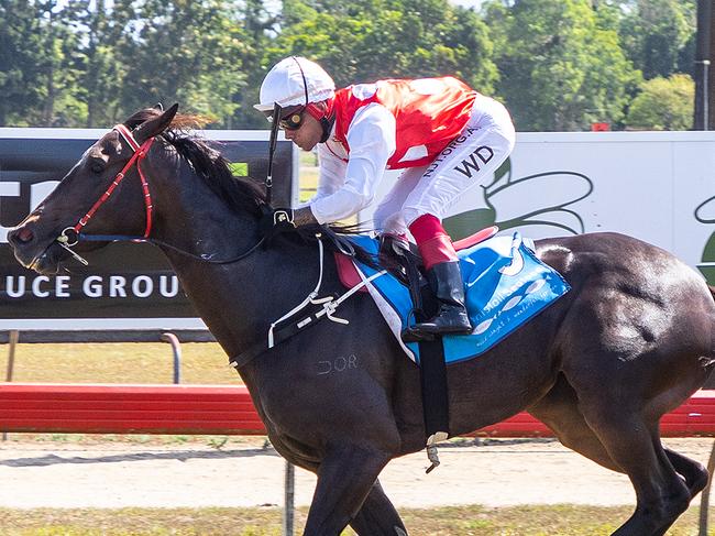 Fine 'n' Devine for trainer Rhonda Inglis and jockey Wanderson D'Avila at Innisfail Turf Club. Picture: Mike Mills.