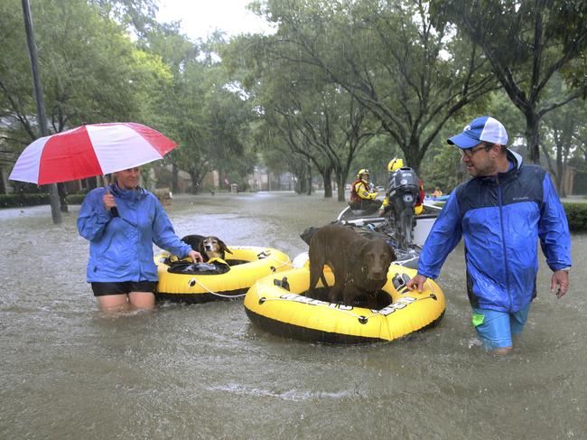 Residents and pets are evacuated from their homes as floodwaters from Tropical Storm Harvey rise in Houston. Picture: AP