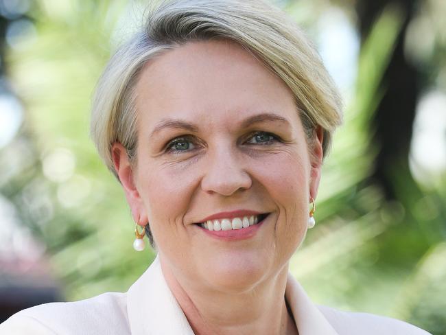 SYDNEY, AUSTRALIA : NewsWire Photos- AUGUST 28 2024; Tanya Plibersek MP Ã Minister for the Environment and Water is seen arriving at the Newscorp Publishing Site in Sydney, ahead of a tour through the facility, recognising News Publishing media industry for recycling leadership.  Picture: NewsWire / Gaye Gerard