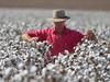 ‘They’re building a Rolls Royce when we need a Commodore’: Farmers fury at SunWater