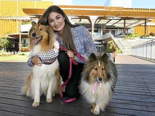 VANITY FUR: Chantelle Reyes and her dogs Penny (left) and Eevee have been selected for Toowoomba's first Grand Central dog fashion parade, which will take place on Saturday. Picture: Bev Lacey